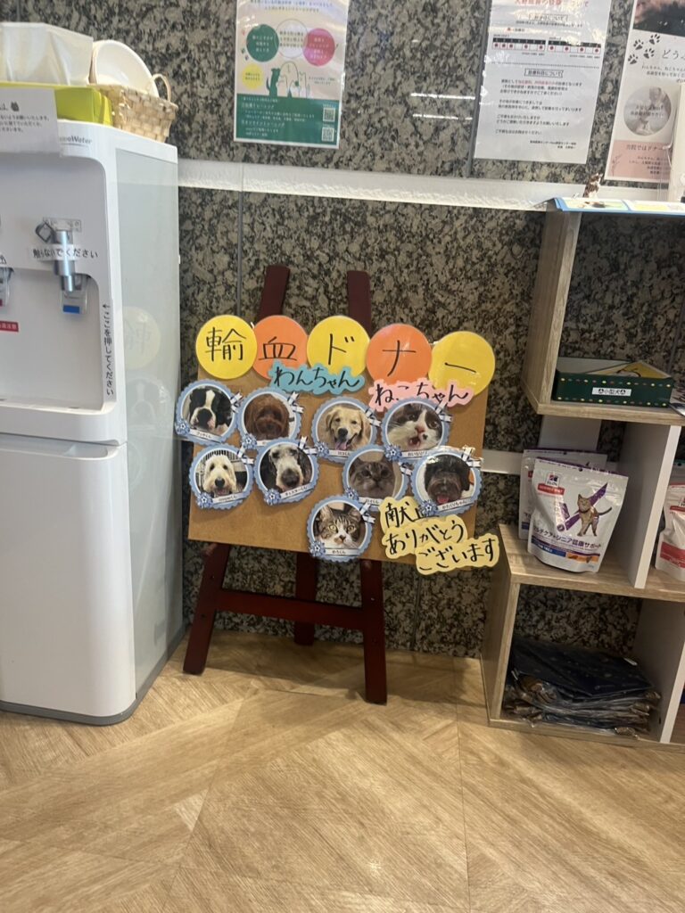 犬の献血