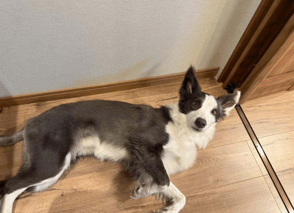 え、なんでとっているの?の顔