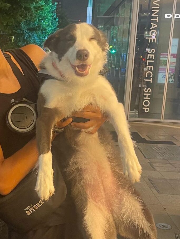 原宿通り