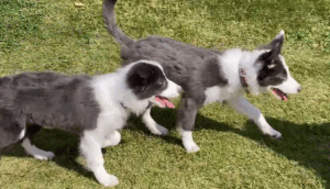 兄弟とあったよ