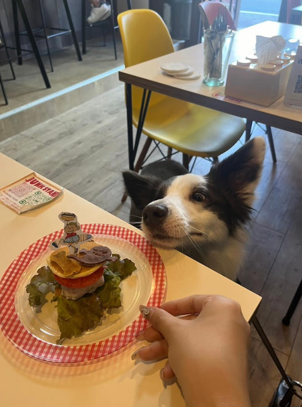 ハンバーガー